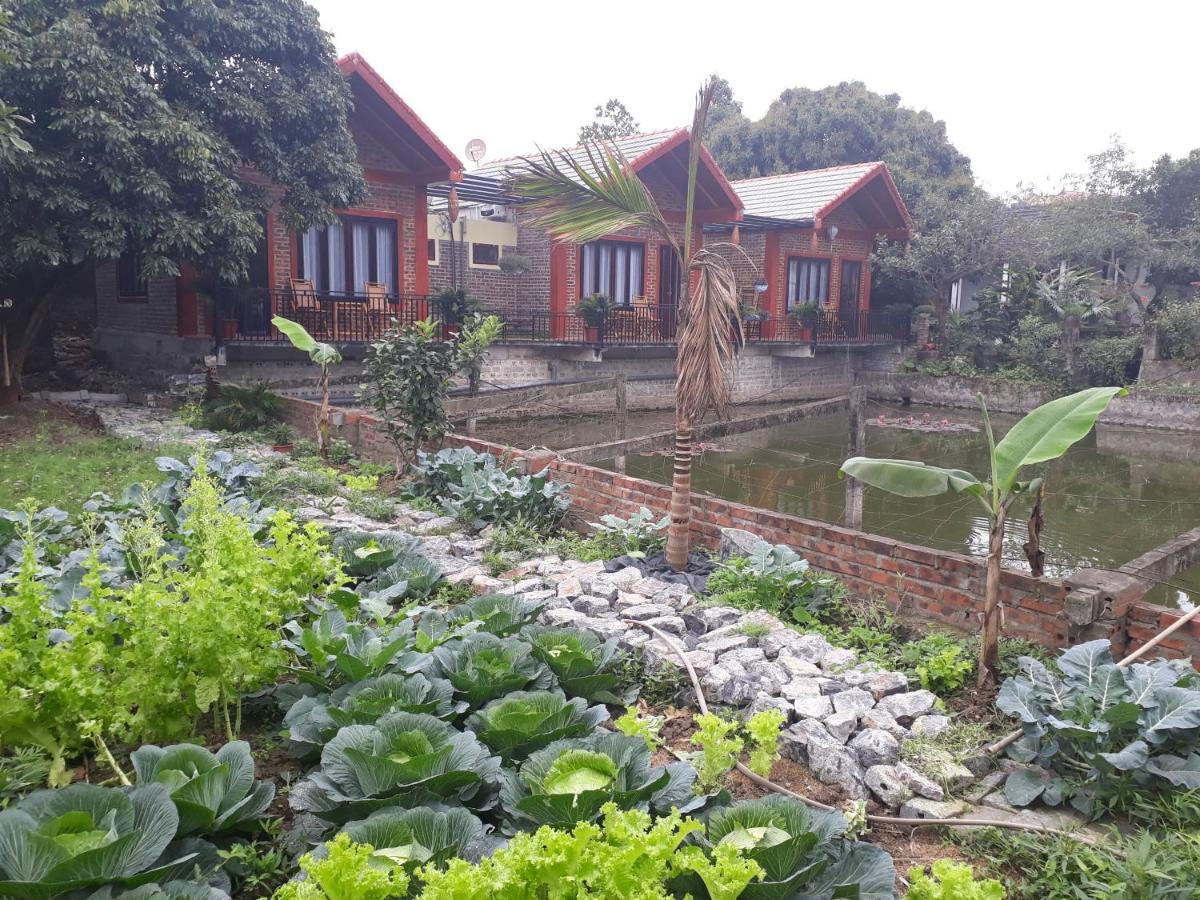 Chez Hiep Tam Coc Homestay Ninh Bình Kültér fotó